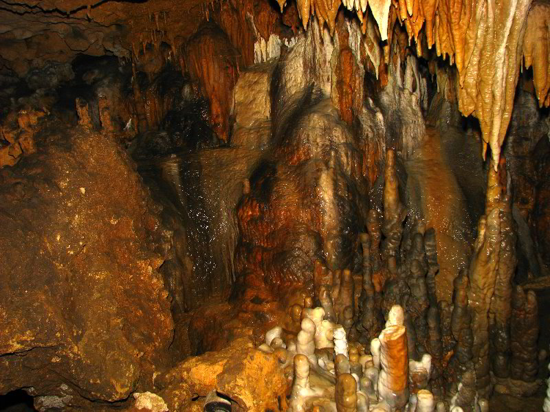 Florida-Caverns-State-Park-Marianna-FL-077