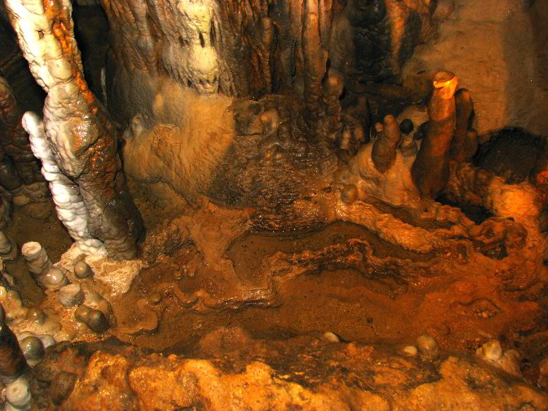 Florida-Caverns-State-Park-Marianna-FL-078