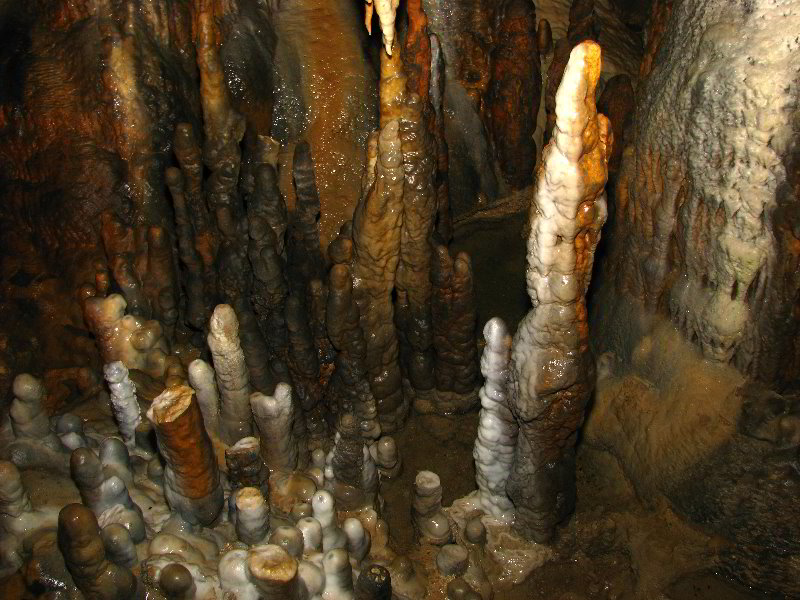 Florida-Caverns-State-Park-Marianna-FL-079