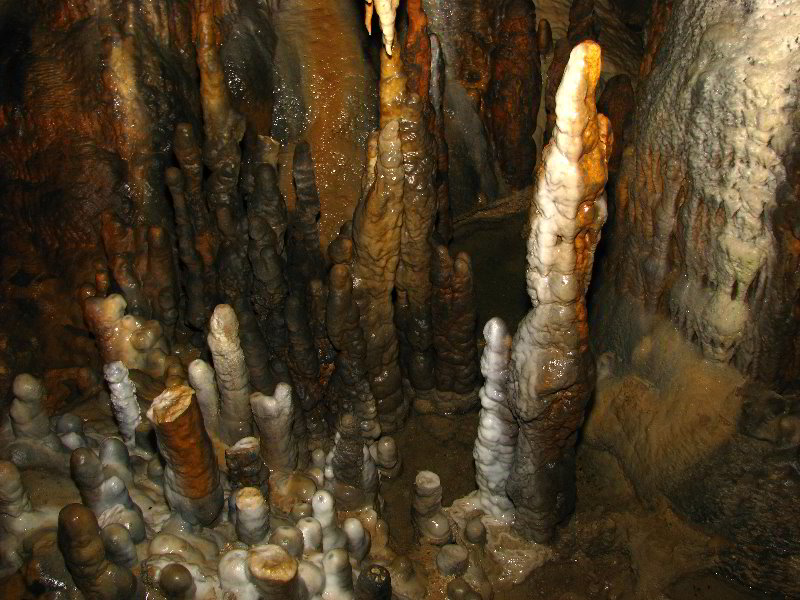 Florida-Caverns-State-Park-Marianna-FL-079