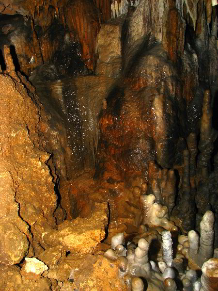 Florida-Caverns-State-Park-Marianna-FL-080