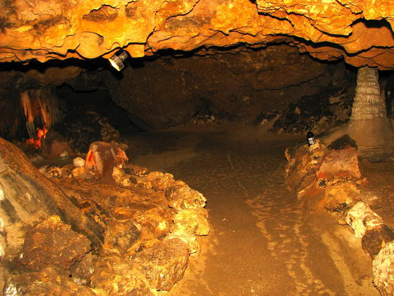 Florida-Caverns-State-Park-Marianna-FL-081