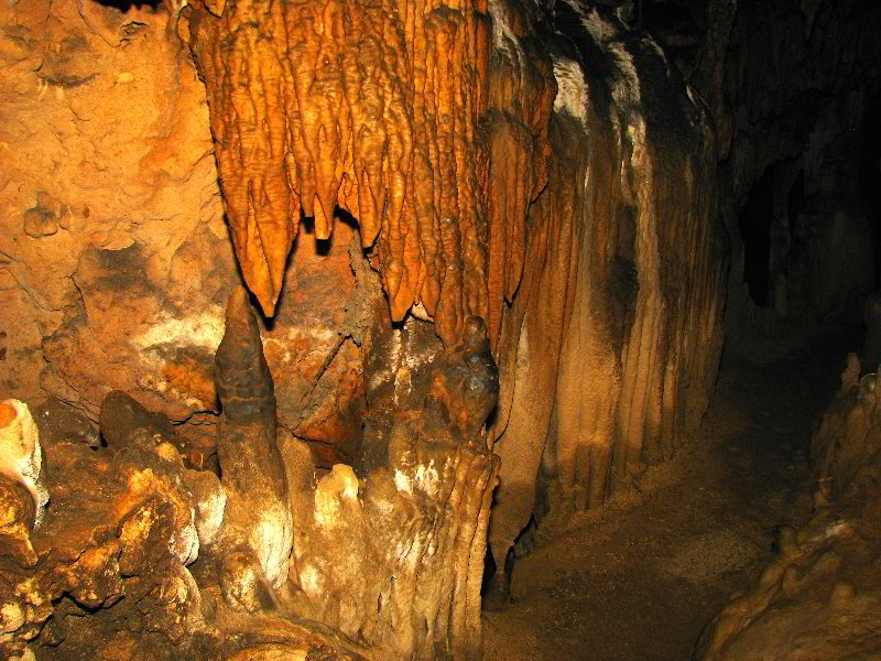 Florida-Caverns-State-Park-Marianna-FL-083