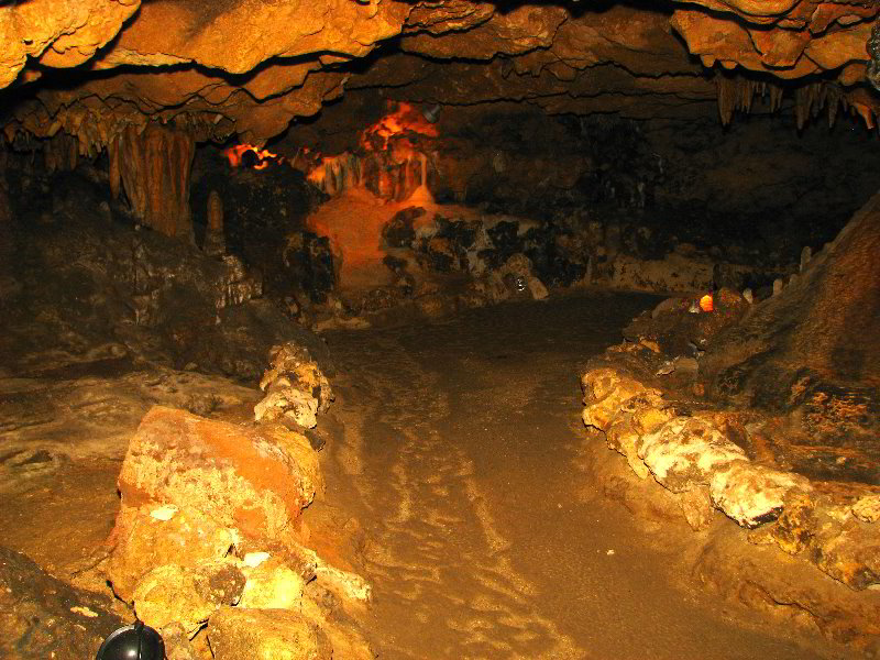 Florida-Caverns-State-Park-Marianna-FL-085