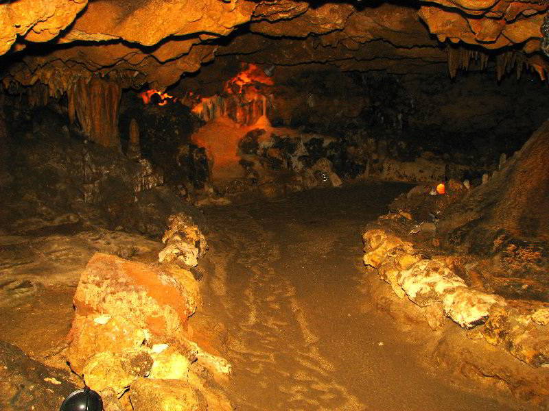 Florida-Caverns-State-Park-Marianna-FL-085