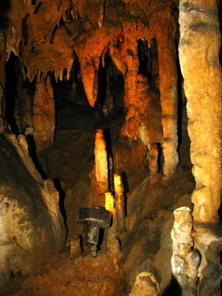 Florida-Caverns-State-Park-Marianna-FL-086