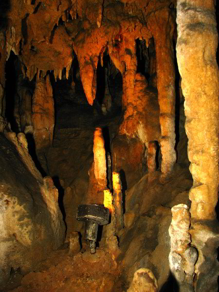 Florida-Caverns-State-Park-Marianna-FL-086