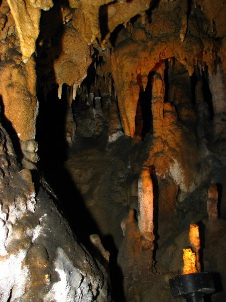 Florida-Caverns-State-Park-Marianna-FL-087