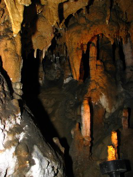 Florida-Caverns-State-Park-Marianna-FL-087