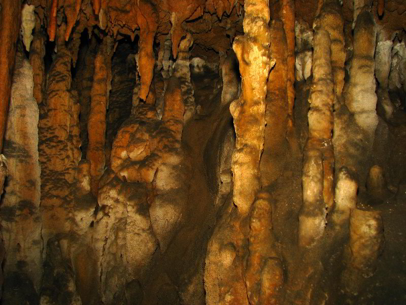 Florida-Caverns-State-Park-Marianna-FL-088