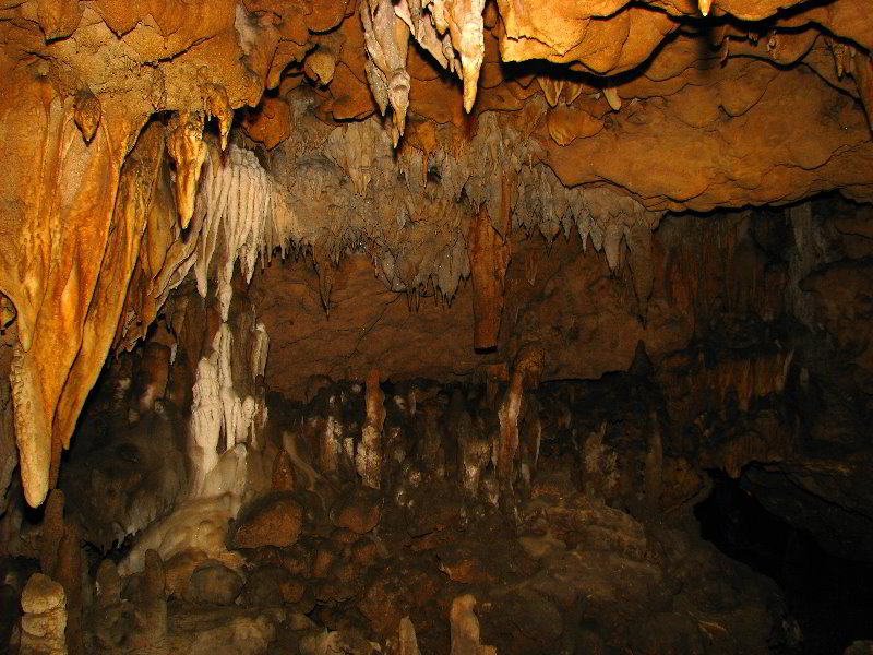 Florida-Caverns-State-Park-Marianna-FL-089