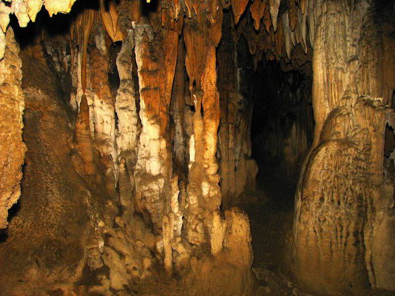 Florida-Caverns-State-Park-Marianna-FL-090