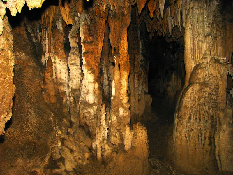 Florida-Caverns-State-Park-Marianna-FL-090