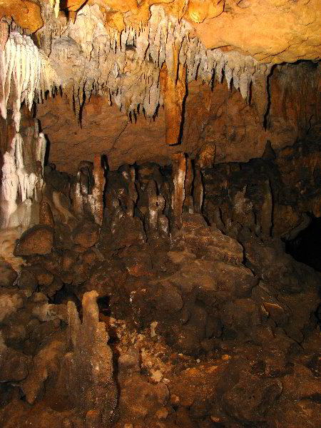 Florida-Caverns-State-Park-Marianna-FL-092