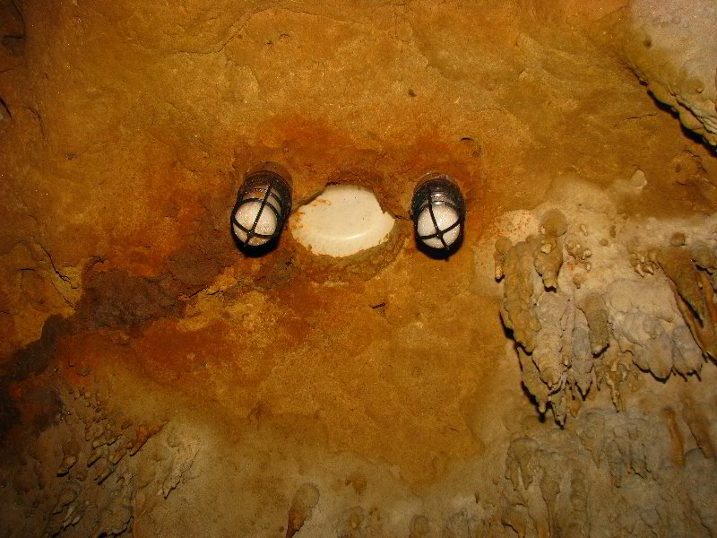 Florida-Caverns-State-Park-Marianna-FL-093
