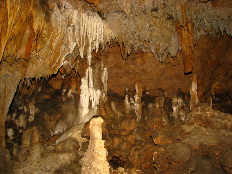 Florida-Caverns-State-Park-Marianna-FL-094