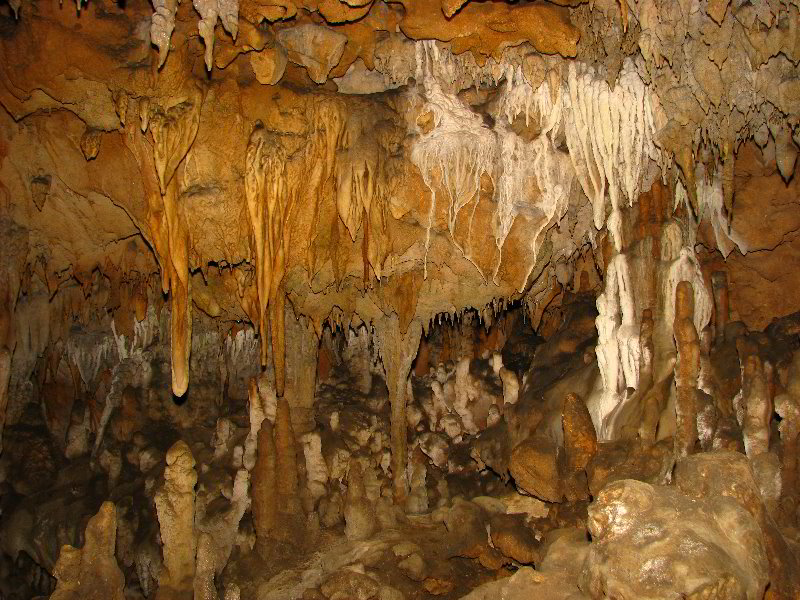 Florida-Caverns-State-Park-Marianna-FL-096