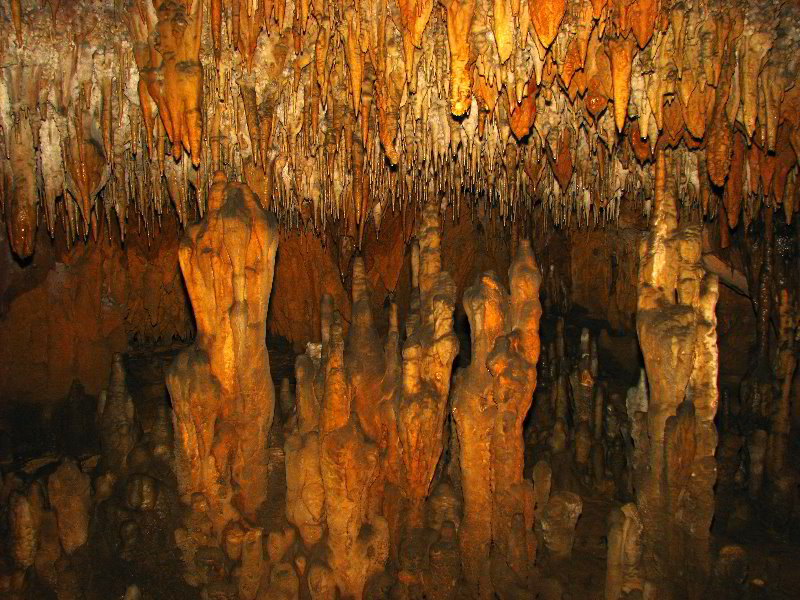 Florida-Caverns-State-Park-Marianna-FL-100