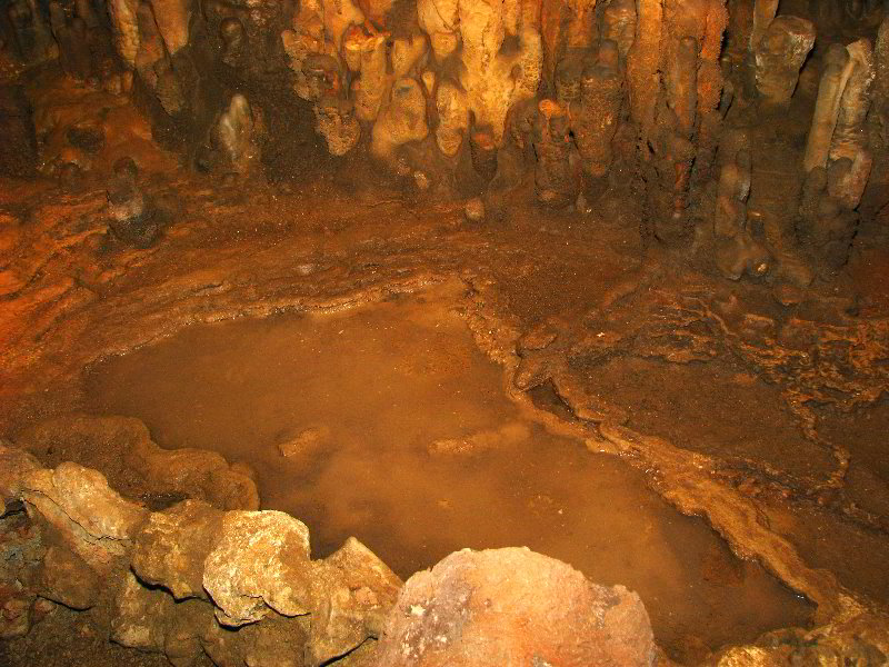 Florida-Caverns-State-Park-Marianna-FL-101