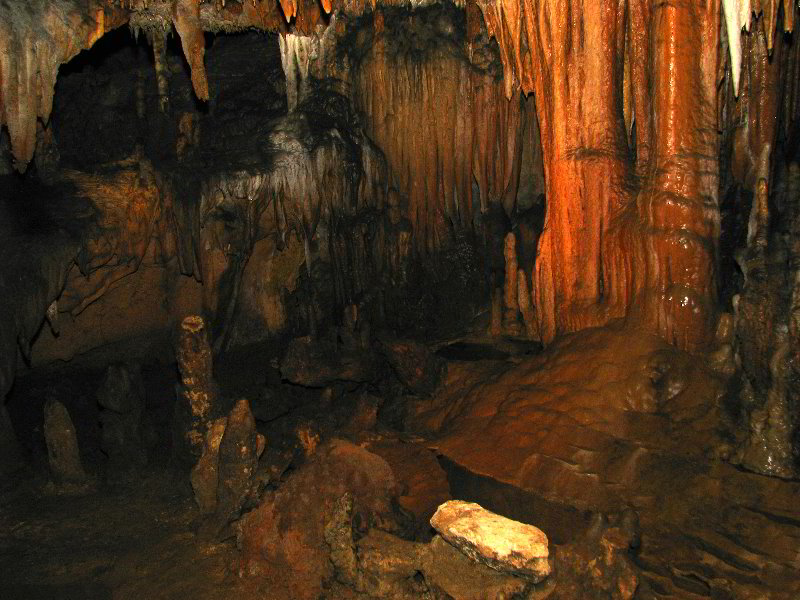 Florida-Caverns-State-Park-Marianna-FL-102