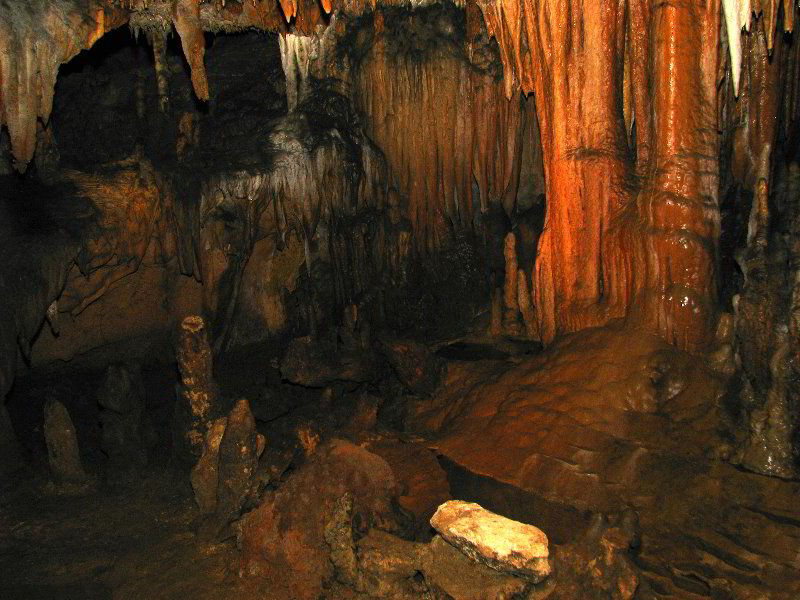 Florida-Caverns-State-Park-Marianna-FL-102