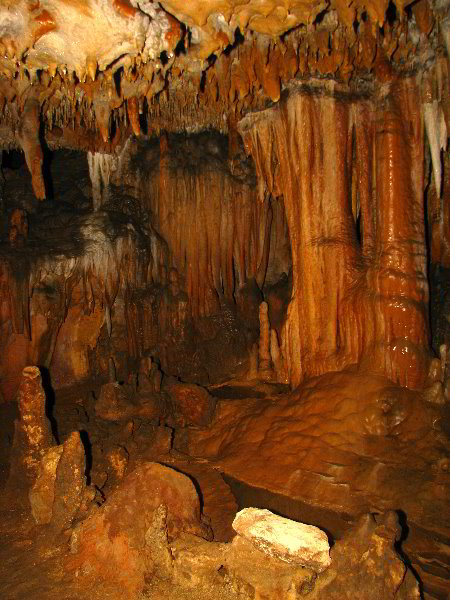 Florida-Caverns-State-Park-Marianna-FL-103