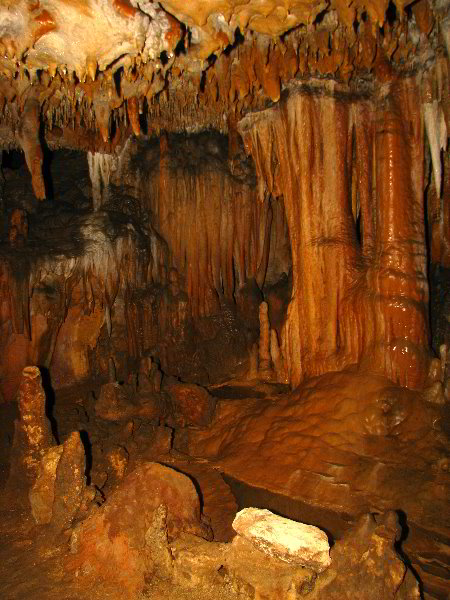 Florida-Caverns-State-Park-Marianna-FL-103