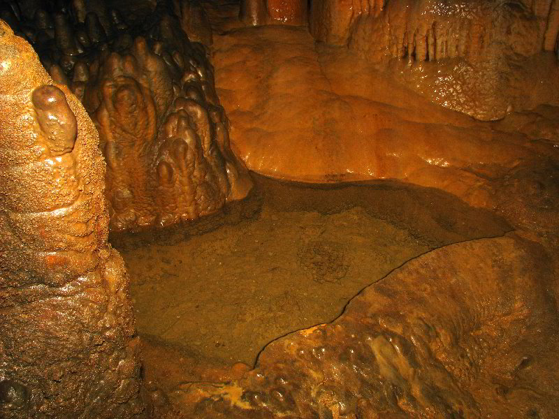 Florida-Caverns-State-Park-Marianna-FL-104