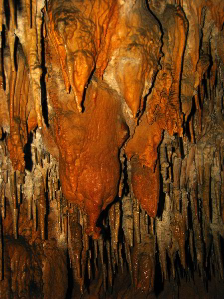 Florida-Caverns-State-Park-Marianna-FL-105