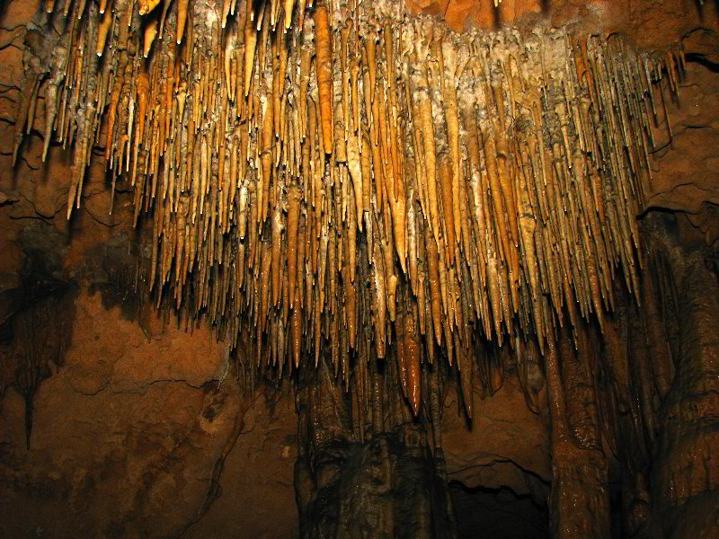Florida-Caverns-State-Park-Marianna-FL-106