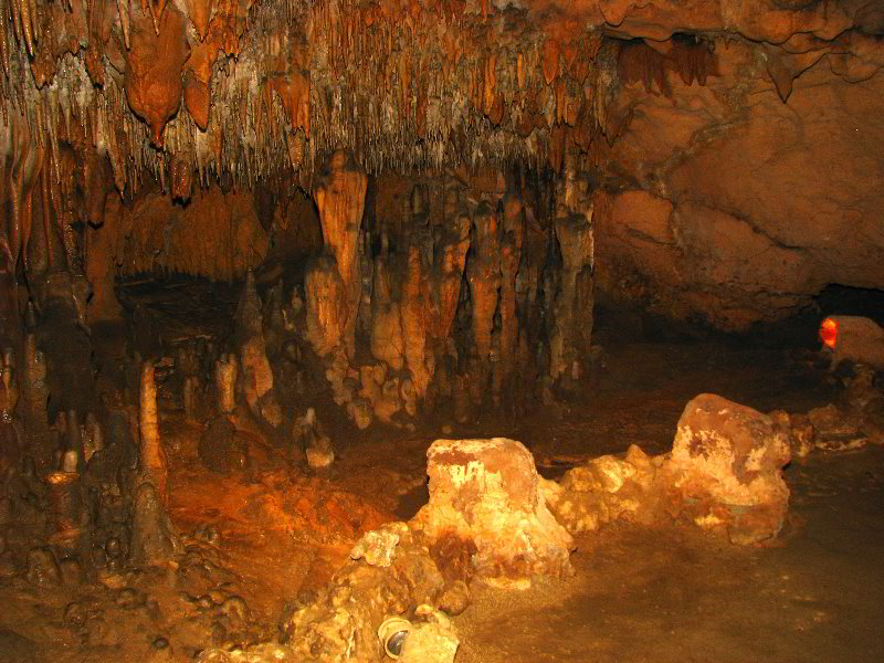 Florida-Caverns-State-Park-Marianna-FL-107