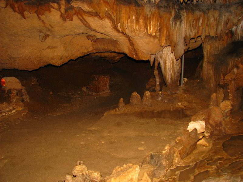 Florida-Caverns-State-Park-Marianna-FL-108