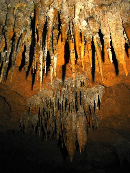 Florida-Caverns-State-Park-Marianna-FL-109