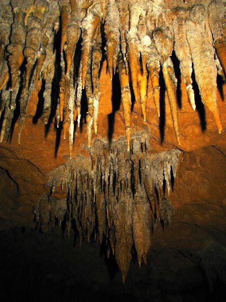 Florida-Caverns-State-Park-Marianna-FL-109