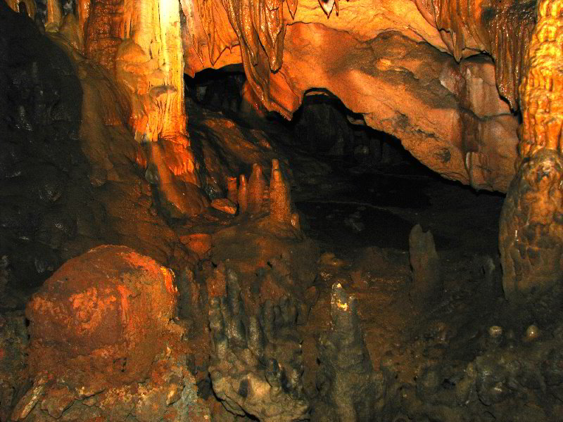 Florida-Caverns-State-Park-Marianna-FL-110