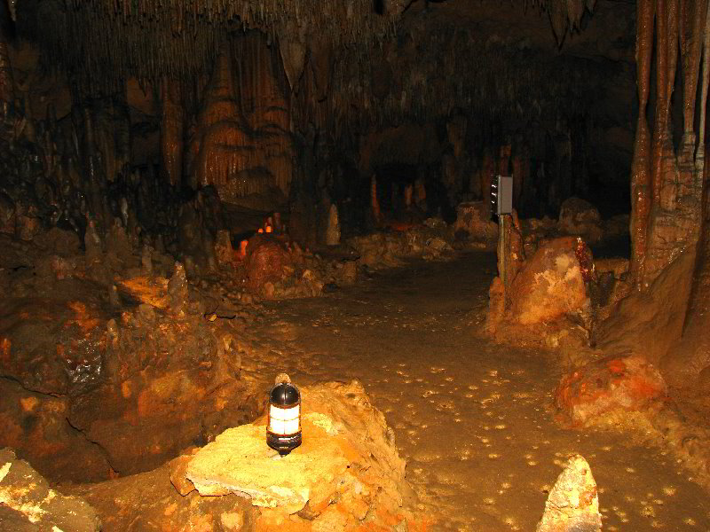 Florida-Caverns-State-Park-Marianna-FL-111