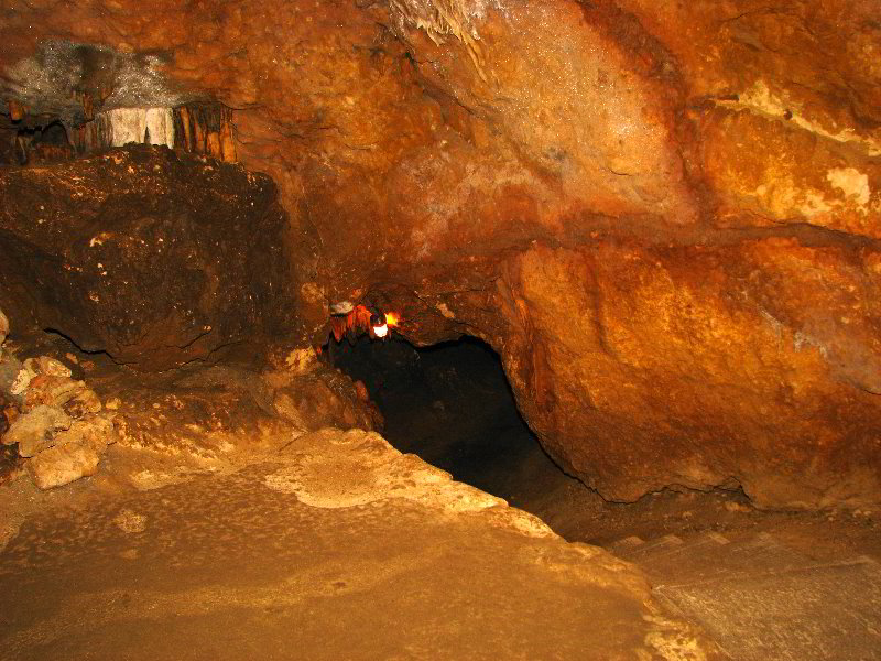 Florida-Caverns-State-Park-Marianna-FL-112