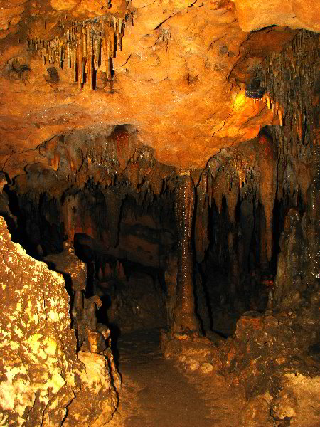 Florida-Caverns-State-Park-Marianna-FL-113
