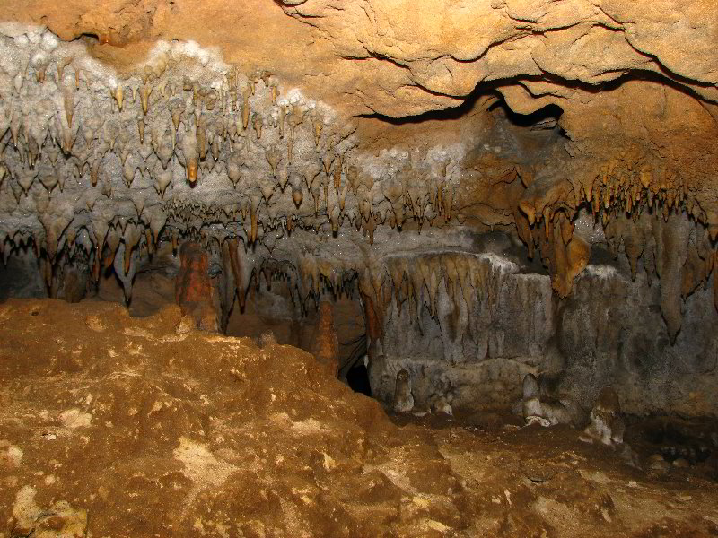 Florida-Caverns-State-Park-Marianna-FL-118