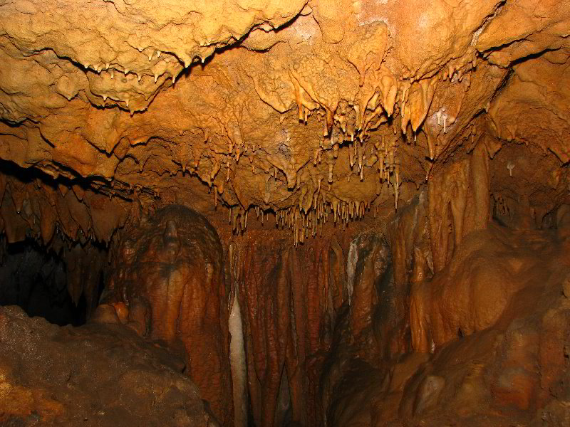 Florida-Caverns-State-Park-Marianna-FL-119