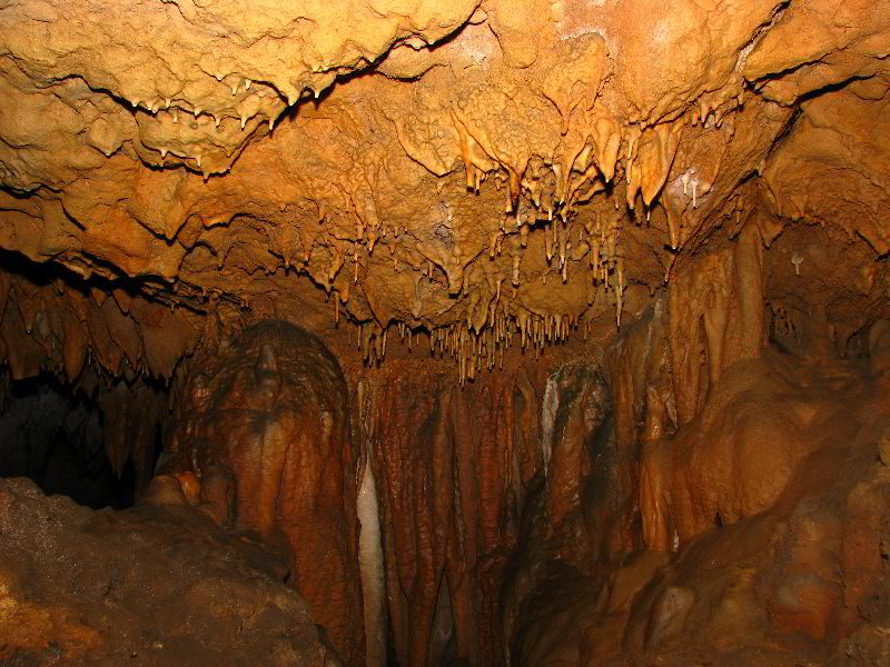 Florida-Caverns-State-Park-Marianna-FL-119