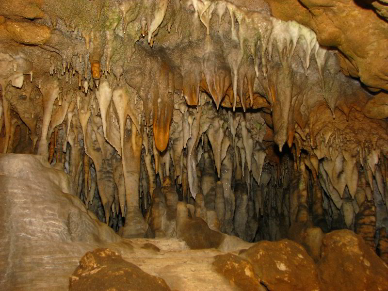 Florida-Caverns-State-Park-Marianna-FL-121