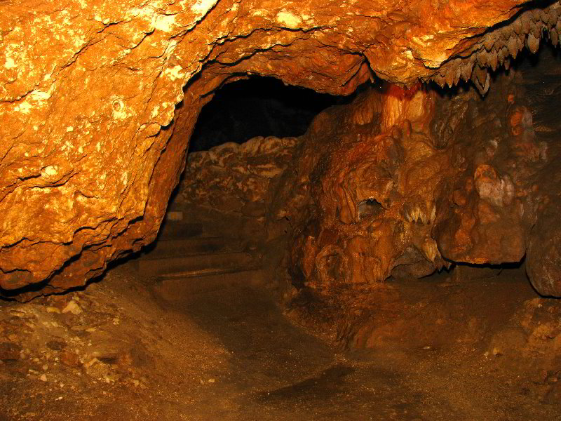 Florida-Caverns-State-Park-Marianna-FL-122