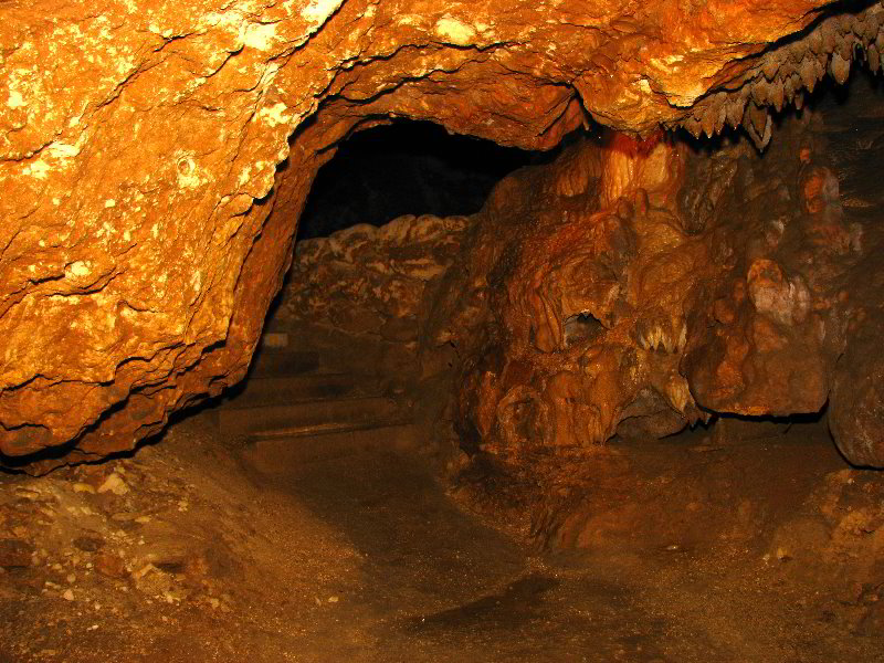 Florida-Caverns-State-Park-Marianna-FL-122