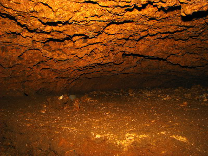 Florida-Caverns-State-Park-Marianna-FL-123