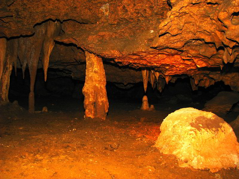 Florida-Caverns-State-Park-Marianna-FL-126