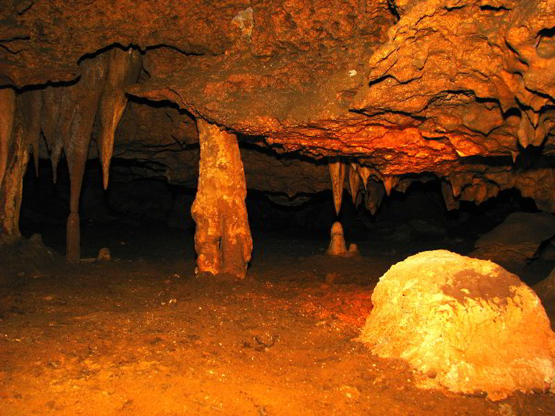 Florida-Caverns-State-Park-Marianna-FL-126