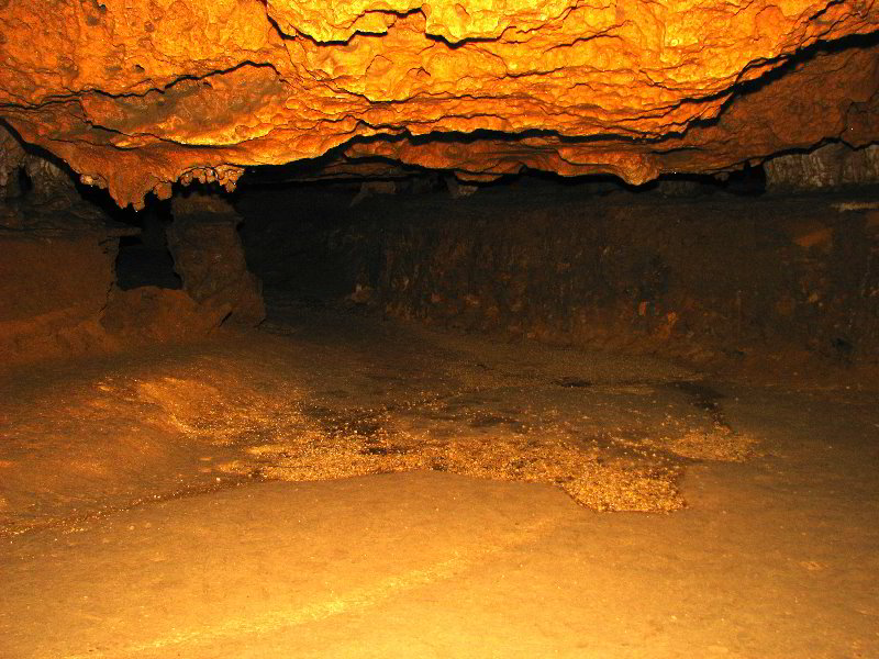 Florida-Caverns-State-Park-Marianna-FL-127