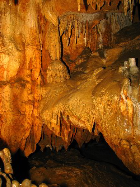 Florida-Caverns-State-Park-Marianna-FL-128