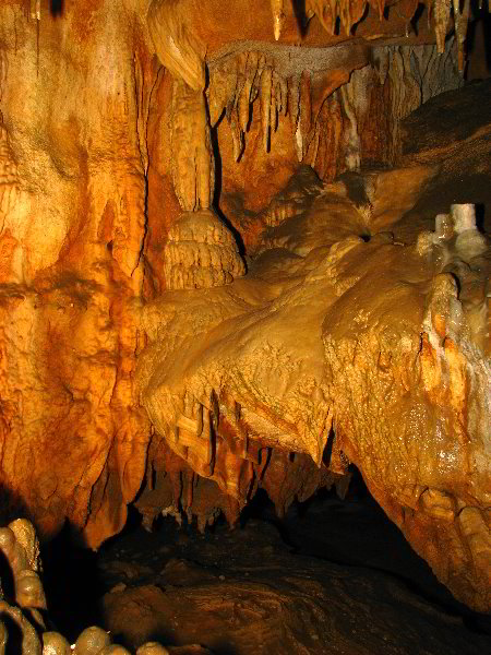 Florida-Caverns-State-Park-Marianna-FL-128